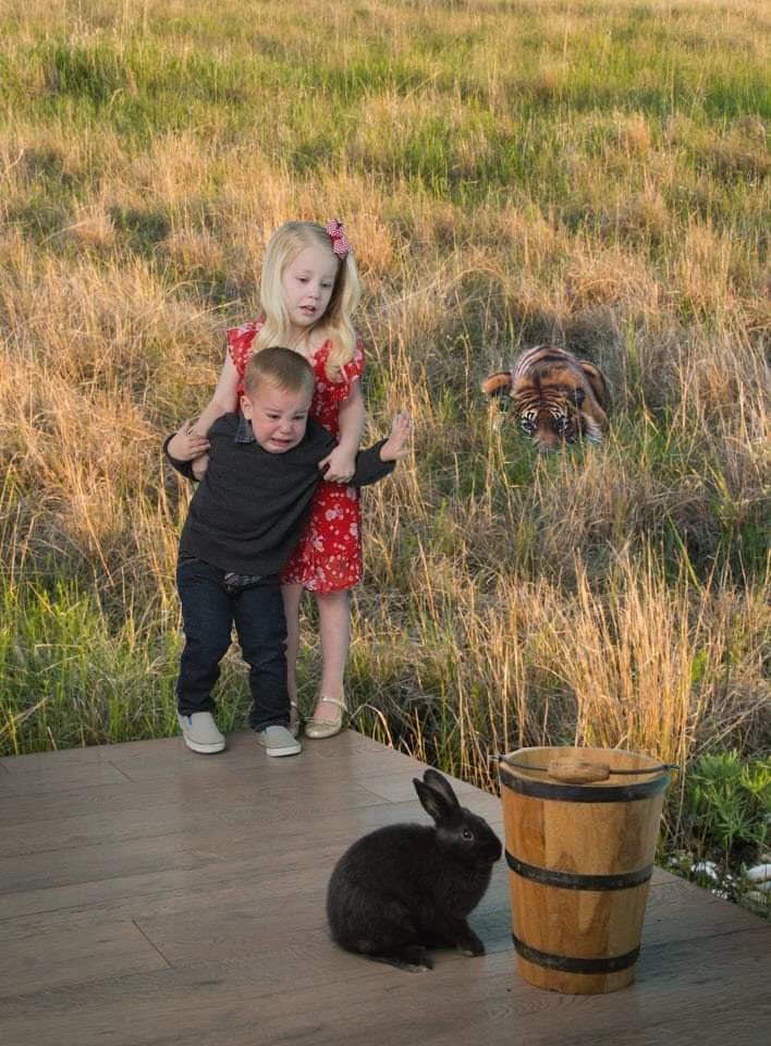 Kid Scared Of Rabbit And Tiger Behind