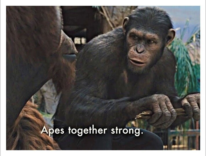 Ape together Strong-War of planet of apes-Caeser meme templates-Ape teaching another ape