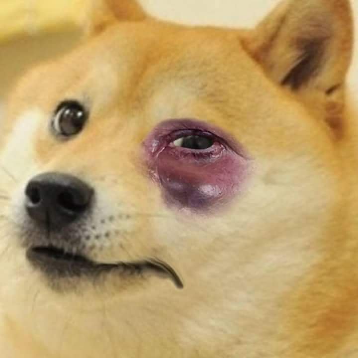 Swallowed eye Doggo-Doggo meme templates