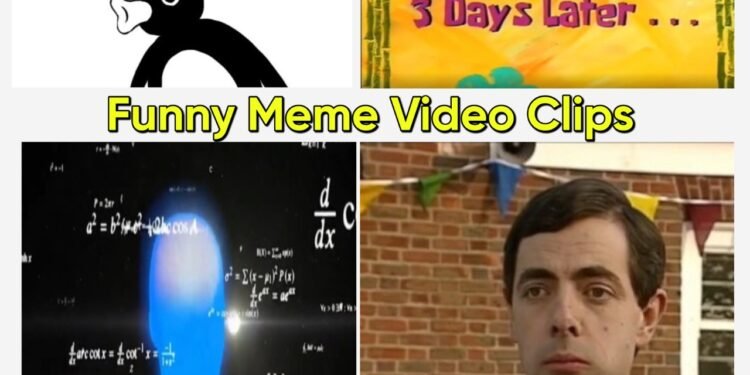 Funny Meme Video Clips