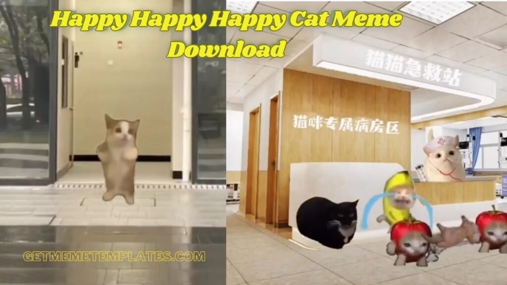 Happy Happy Happy Cat Meme