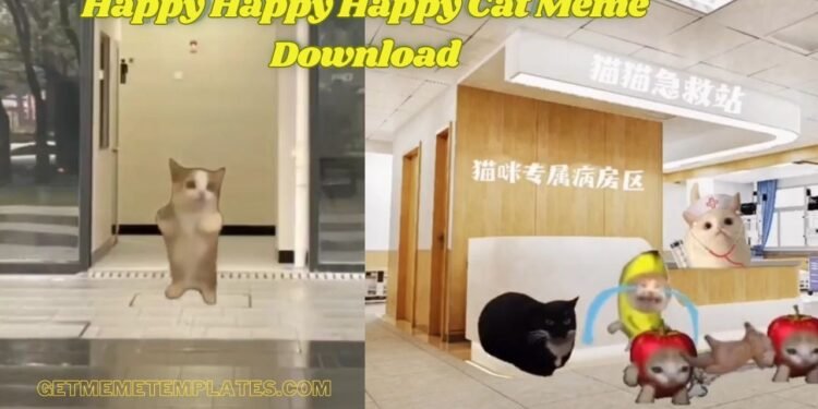 Happy Happy Happy Cat Meme