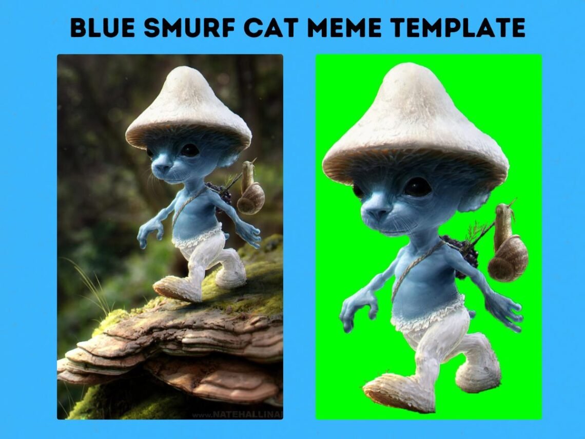 Blue Smurf Cat Meme Template Meme Download