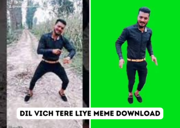 Dil Vich Tere Liye Meme Download