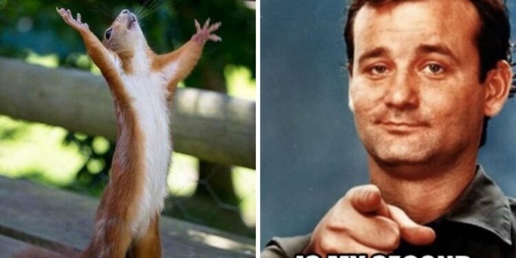 Friday Meme Funny Work Meme Download