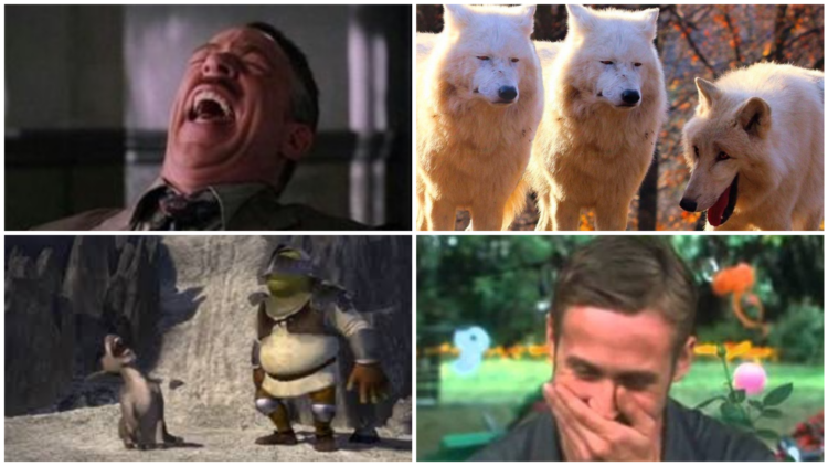 Laughing Meme