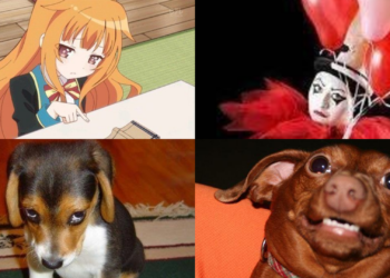 Sorry Memes