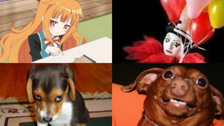 Sorry Memes
