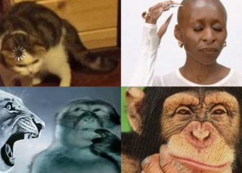 Thinking Memes