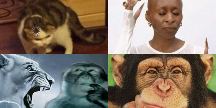 Thinking Memes